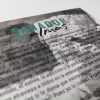 Libro Sanador de Almas (Virtual) - Imagen 3
